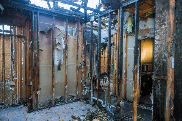 Professional Fire Damage Removal technician working in Milford, IL
